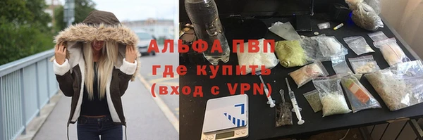 прущие грибы Верхнеуральск