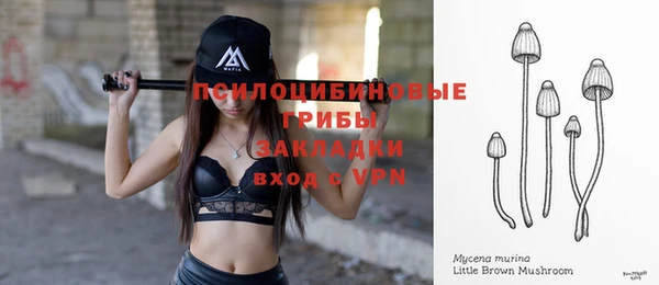 прущие грибы Верхнеуральск
